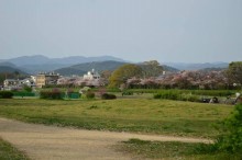 ishihara.2016.04gazou.004.jpg