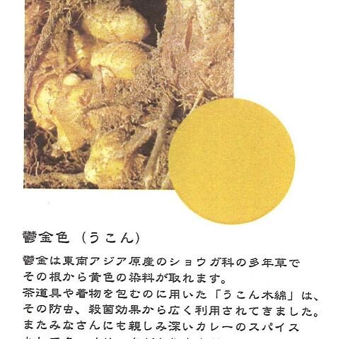 【き】黄　～風呂敷用語　色・いろめ～