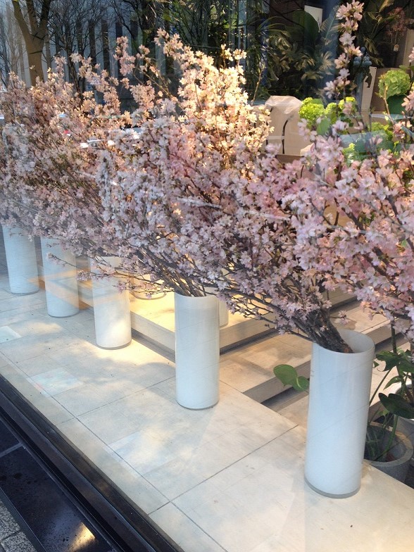 桜(国花)のご紹介。『啓翁桜(けいおうざくら)』をご存知ですか?