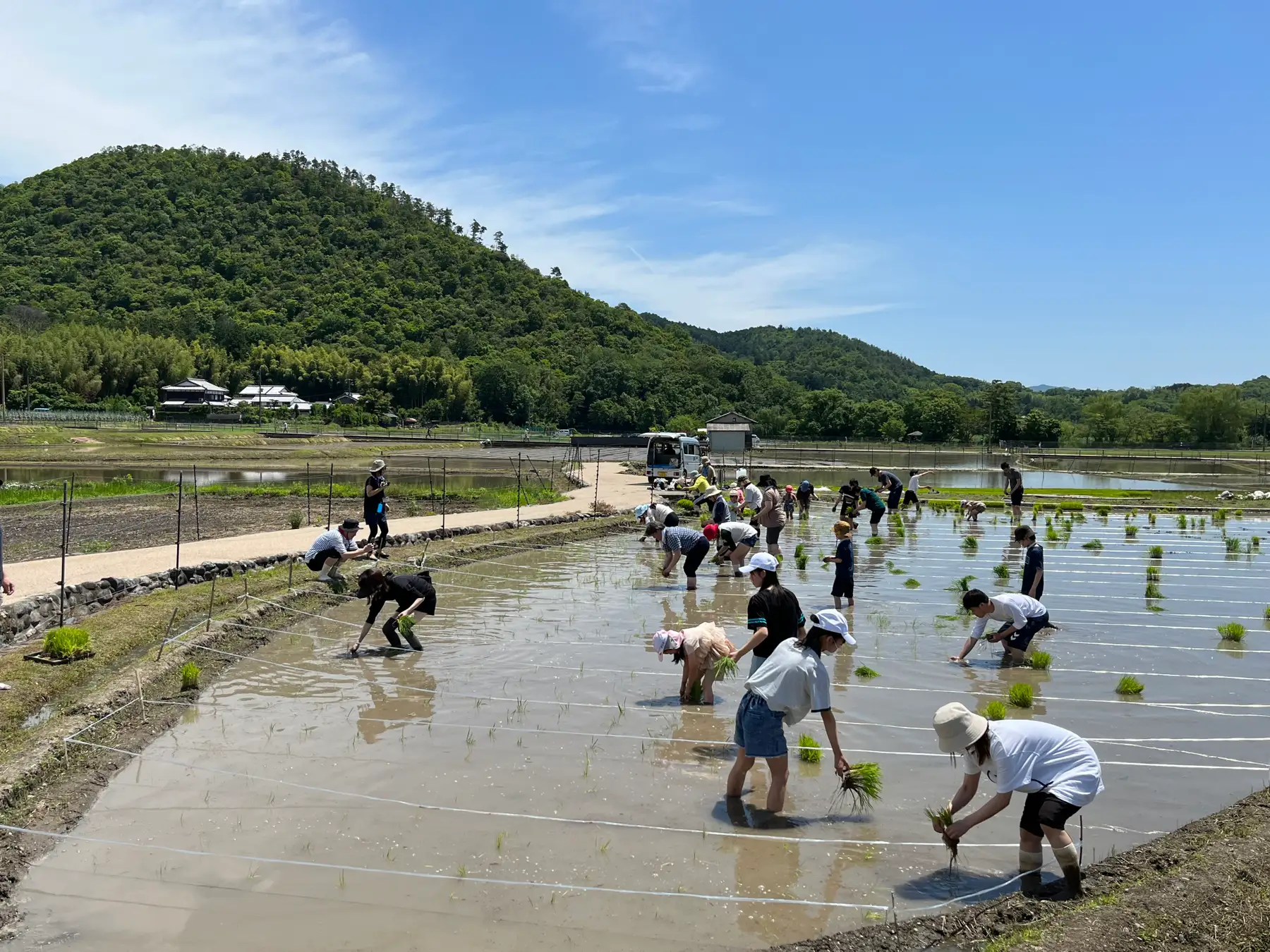 「景勝・小倉山を守る会」水田